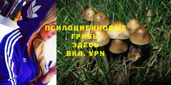 ECSTASY Абинск
