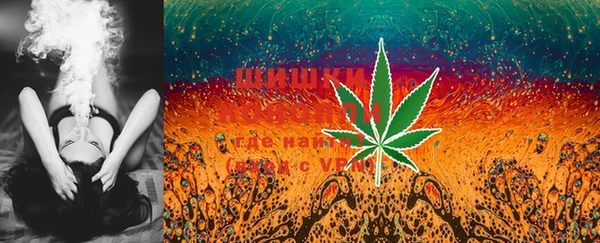 PSILOCYBIN Алексеевка
