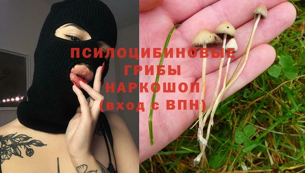 СК Абаза